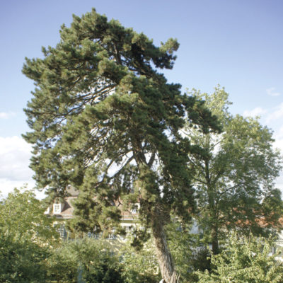 CHristine-Mayer_Rundgang_01_DSC02895