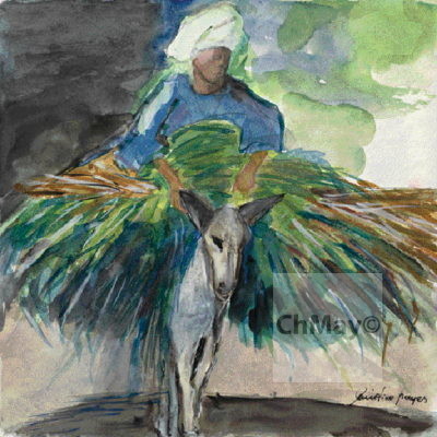 Christine-Mayer_Aegypten_001_Aqua_004