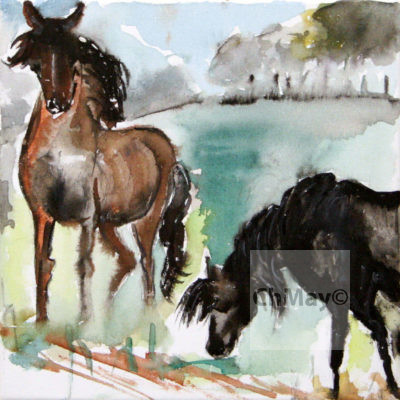 Christine-Mayer_Pferde_IMG_1804