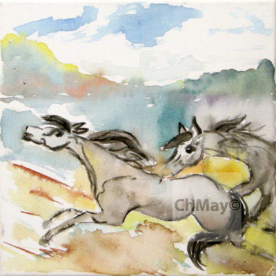 Christine-Mayer_Pferde_IMG_1815