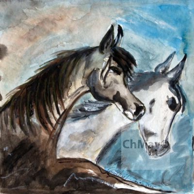 Christine-Mayer_Pferde_IMG_2465