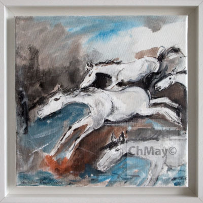 Christine-Mayer_Pferde_IMG_2467